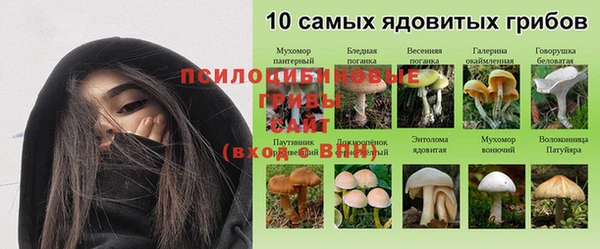 мет Осинники