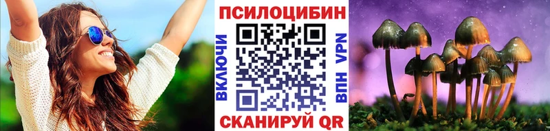 Галлюциногенные грибы Psilocybe  kraken tor  Наволоки 